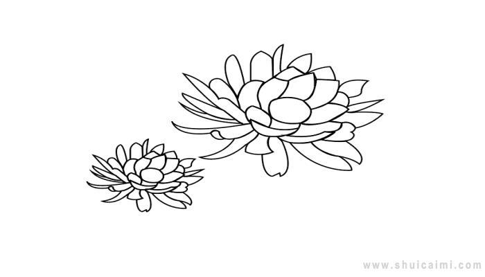 昙花简笔画怎么画 昙花简笔画图片