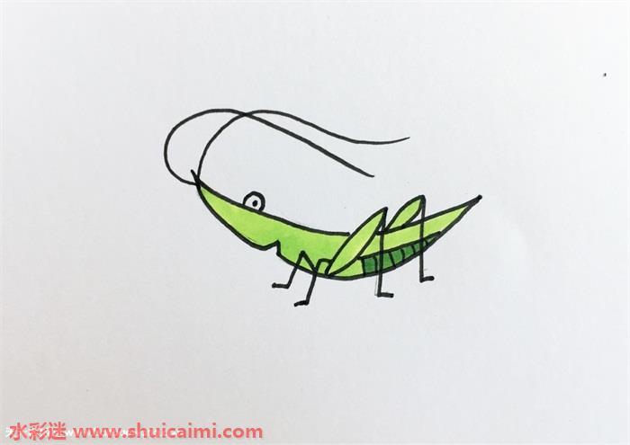 纺织娘怎么画 纺织娘简笔画图片大全彩色