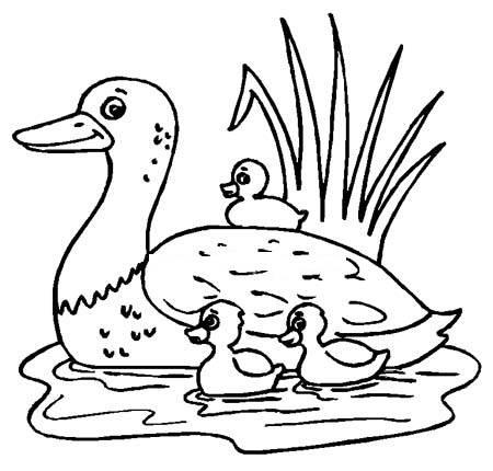 小鸭简笔画 小鸭简笔画怎么画