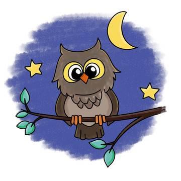 猫头鹰简笔画图片大全大图 猫头鹰简笔画图片大全大图