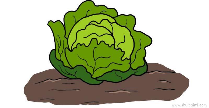 包包白儿童画怎么画 包包白简笔画画法