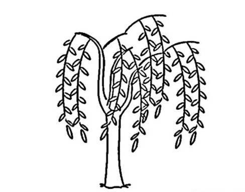 柳树简笔画图片大全 柳树简笔画图片大全大图简单