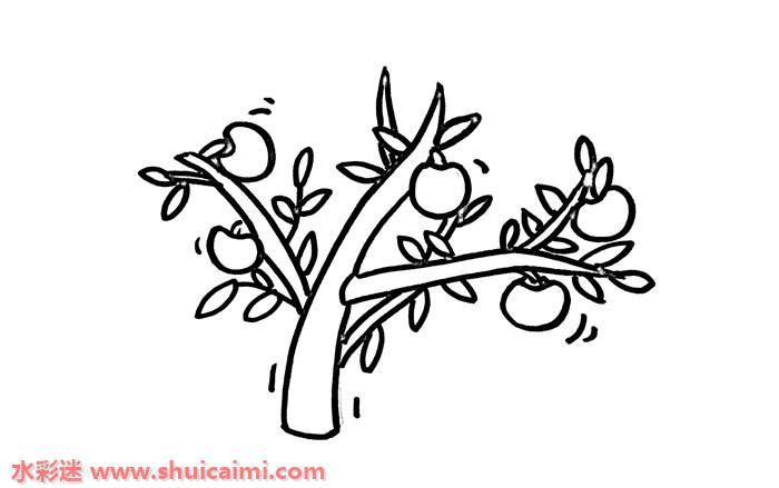 苹果树怎么画 苹果树简笔画步骤图