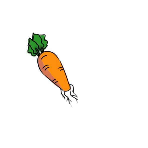 萝卜简笔画图片大全 萝卜简笔画图片大全简单