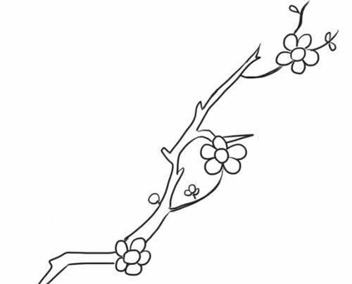梅花图片简笔画手绘 梅花图片简笔画手绘儿童画