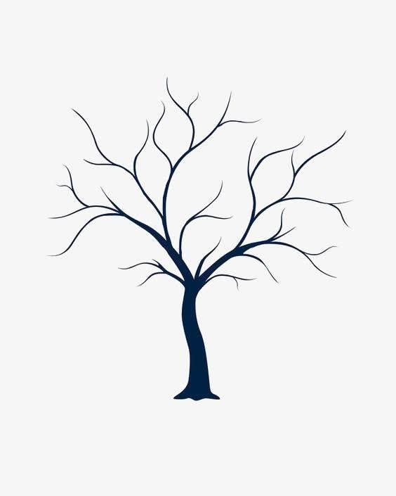 树干简笔画 树干简笔画简单又好看