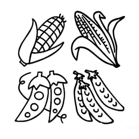 蔬菜简笔画 蔬菜简笔画图片带颜色