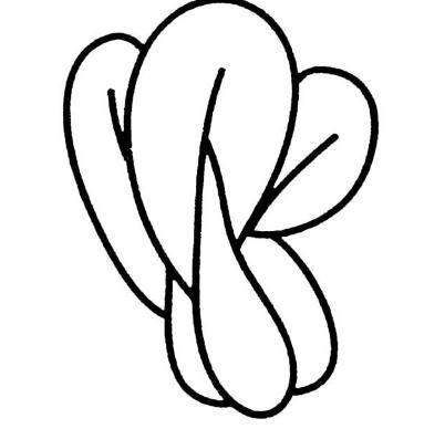 幼儿蔬菜简笔画图片大全 幼儿蔬菜简笔画