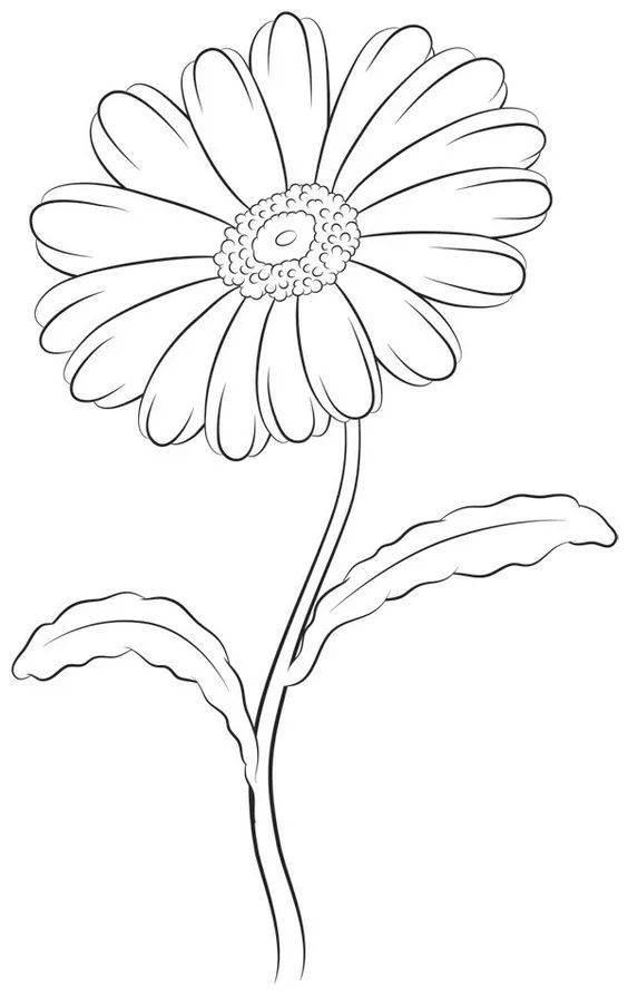 花卉简笔画图片大全 花卉简笔画图片大全大图彩色