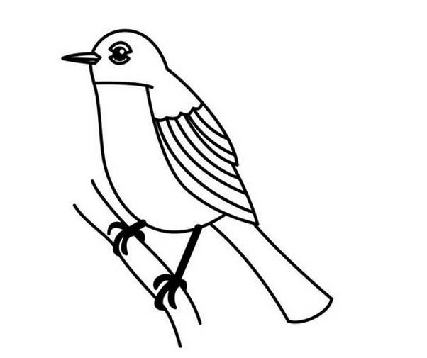 简笔画小鸟 简笔画小鸟可爱简单漂亮