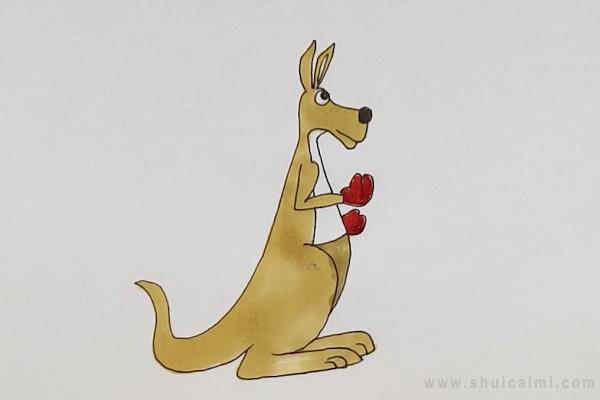 袋鼠简笔画怎么画 袋鼠简笔画好看
