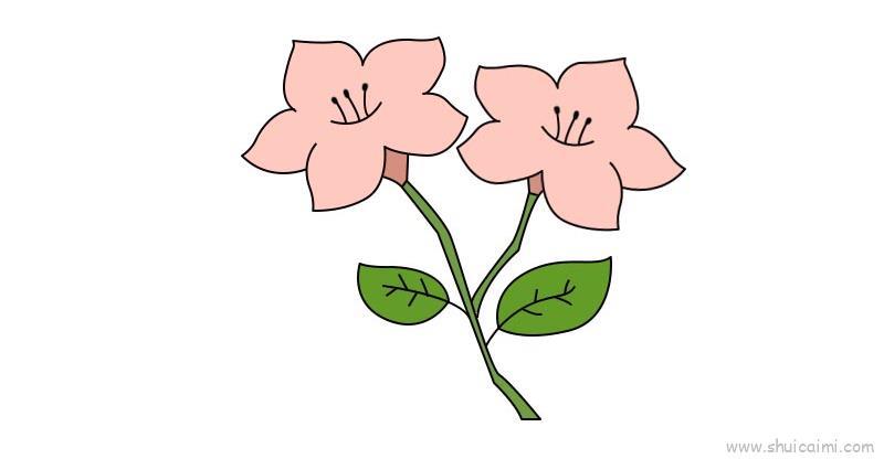 杜鹃花教程儿童画怎么画 杜鹃花教程简笔画简单又好看