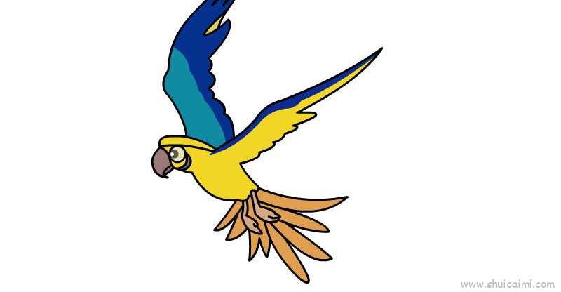 鹦鹉儿童画怎么画 鹦鹉简笔画步骤