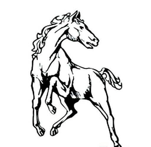 简笔画马 简笔画马的画法最简单