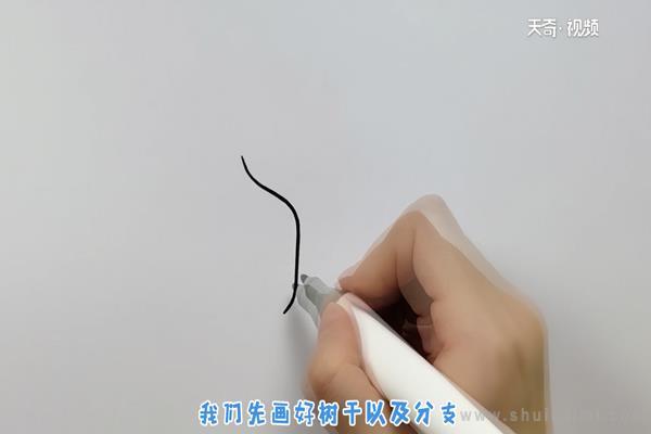 樱花树简笔画怎么画 樱花树简笔画步骤