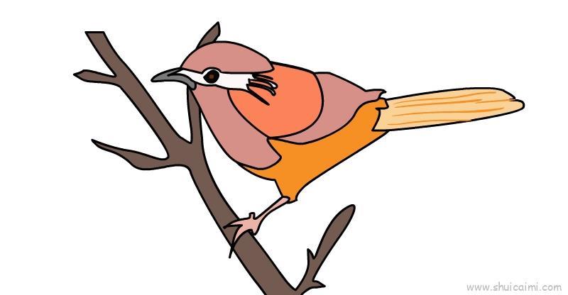 画眉鸟儿童画怎么画 画眉鸟简笔画好看