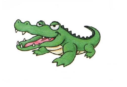 爬行动物简笔画 爬行动物简笔画彩色