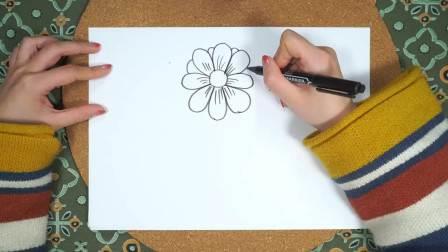 雏菊简笔画 雏菊简笔画图片