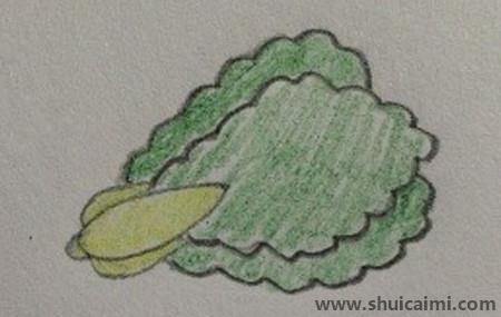 好吃健康的青菜儿童简笔画步骤