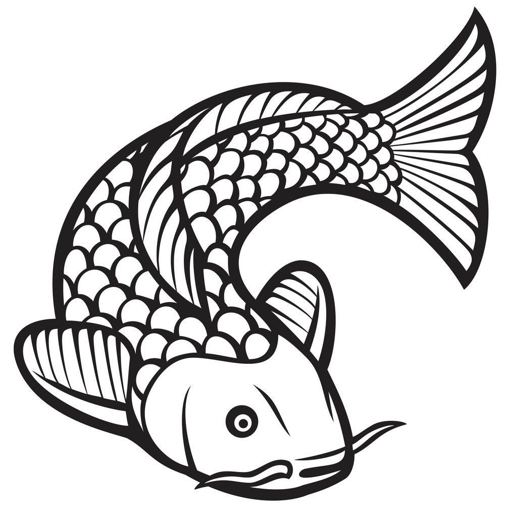 鲤鱼的简笔画图片大全 鲤鱼的简笔画图片大全彩色