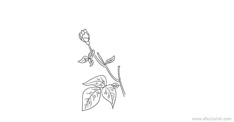 母亲节花教程儿童画怎么画 母亲节花教程简笔画画法