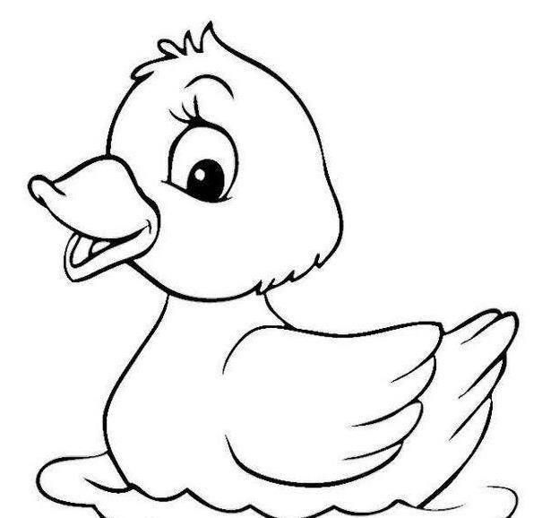 鸭子简笔画 鸭子简笔画简单可爱