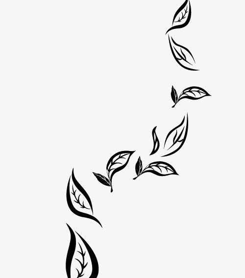 茶叶简笔画 茶叶简笔画彩色