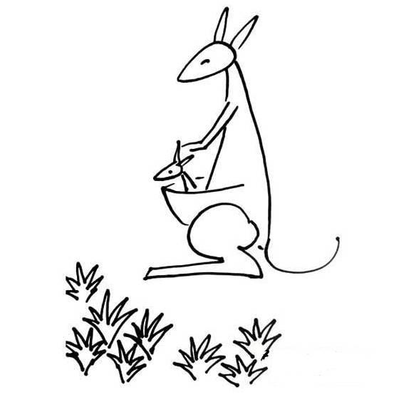 袋鼠的简笔画图片大全 袋鼠的简笔画图片大全彩色