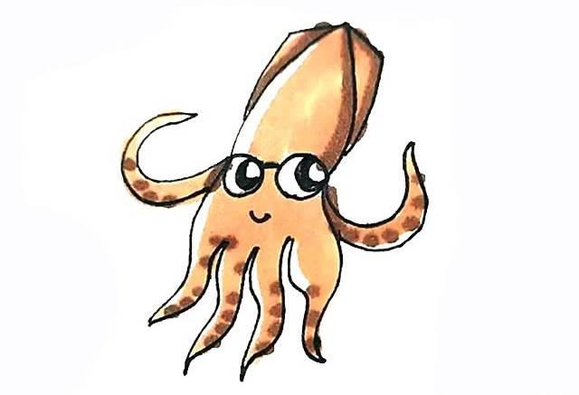 鱿鱼简笔画 铁板鱿鱼简笔画