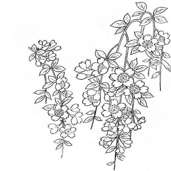 迎春花简笔画 迎春花简笔画简单又漂亮