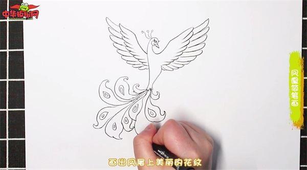 凤凰怎么画 凤凰简笔画漂亮卡通