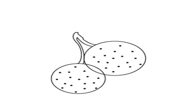 杨梅的简笔画怎么画 杨梅简笔画简单又好看
