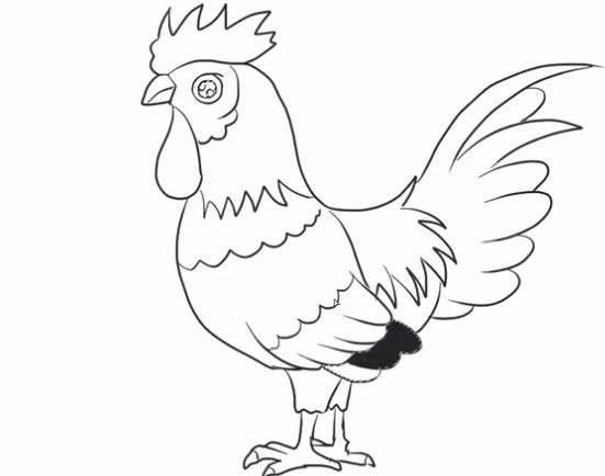 公鸡的简笔画