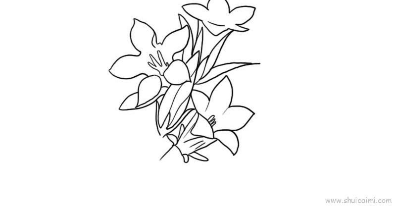 龙胆草花儿童画怎么画 龙胆草花简笔画画法