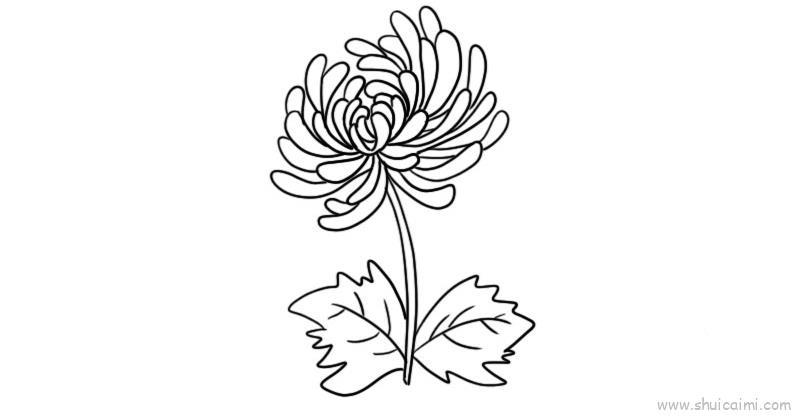 菊花儿童画怎么画 菊花简笔画简单又好看