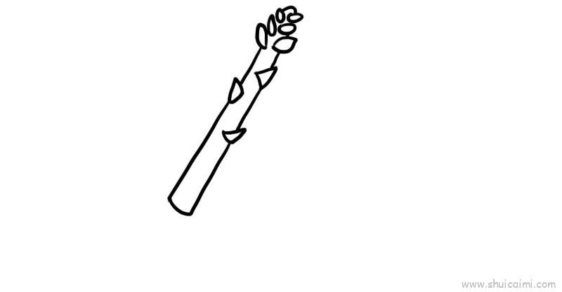 芦笋儿童画怎么画 芦笋简笔画顺序