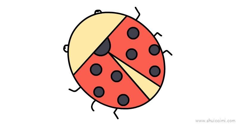 瓢虫儿童画怎么画 瓢虫简笔画步骤