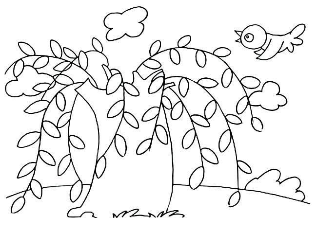 柳树简笔画 柳树简笔画图片带颜色