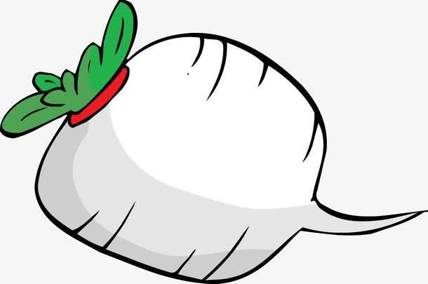 白萝卜简笔画 白萝卜简笔画图片