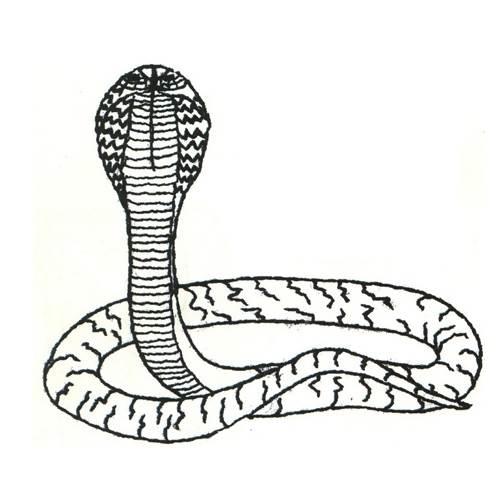 蛇简笔画 蛇简笔画儿童画