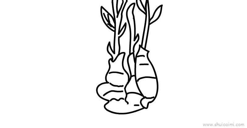 姜儿童画怎么画 姜简笔画简单又好看