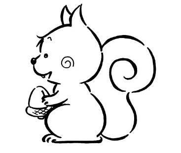 松鼠简笔画图片大全 松鼠简笔画图片大全彩色