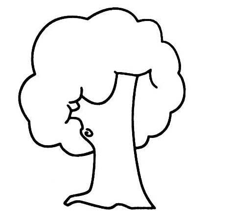 一棵大树简笔画 一棵大树简笔画松树