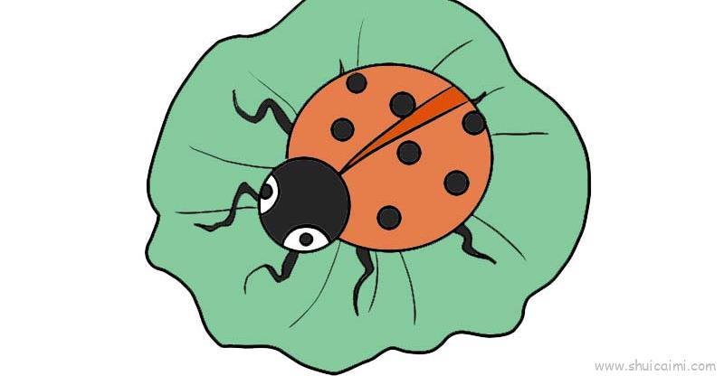 七星瓢虫教程儿童画怎么画 七星瓢虫教程简笔画画法