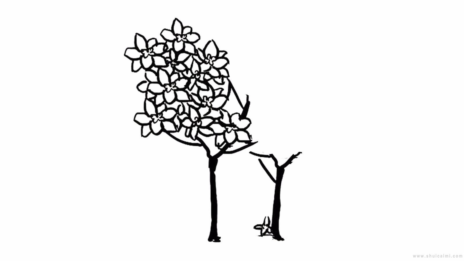 月桂树简笔画怎么画 月桂树简笔画画法