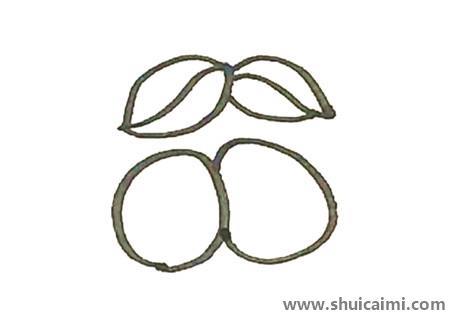 枇杷儿童简笔画