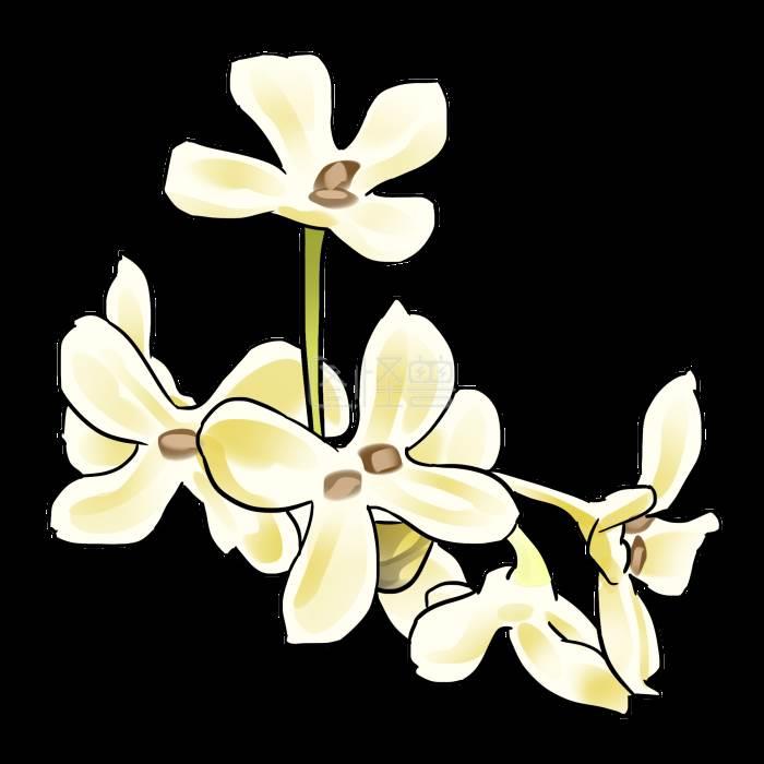 桂花的简笔画 桂花的简笔画怎么画最好看又简单