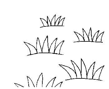 春天的小草简笔画 春天的小草简笔画彩色