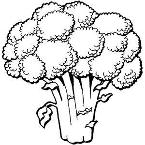 西兰花简笔画 西兰花简笔画儿童