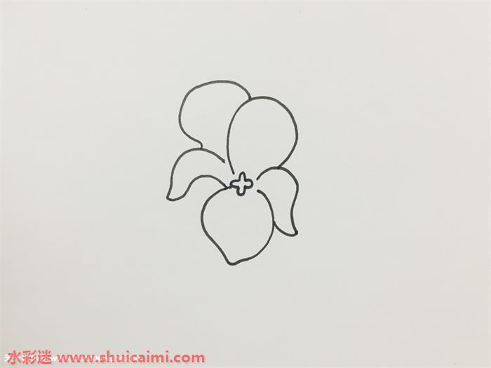 紫罗兰好看怎么画 紫罗兰简笔画步骤图